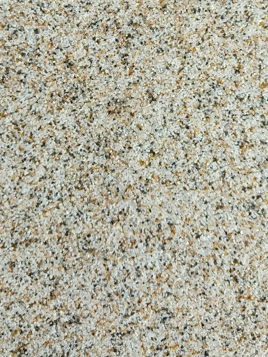 BBCH-01
